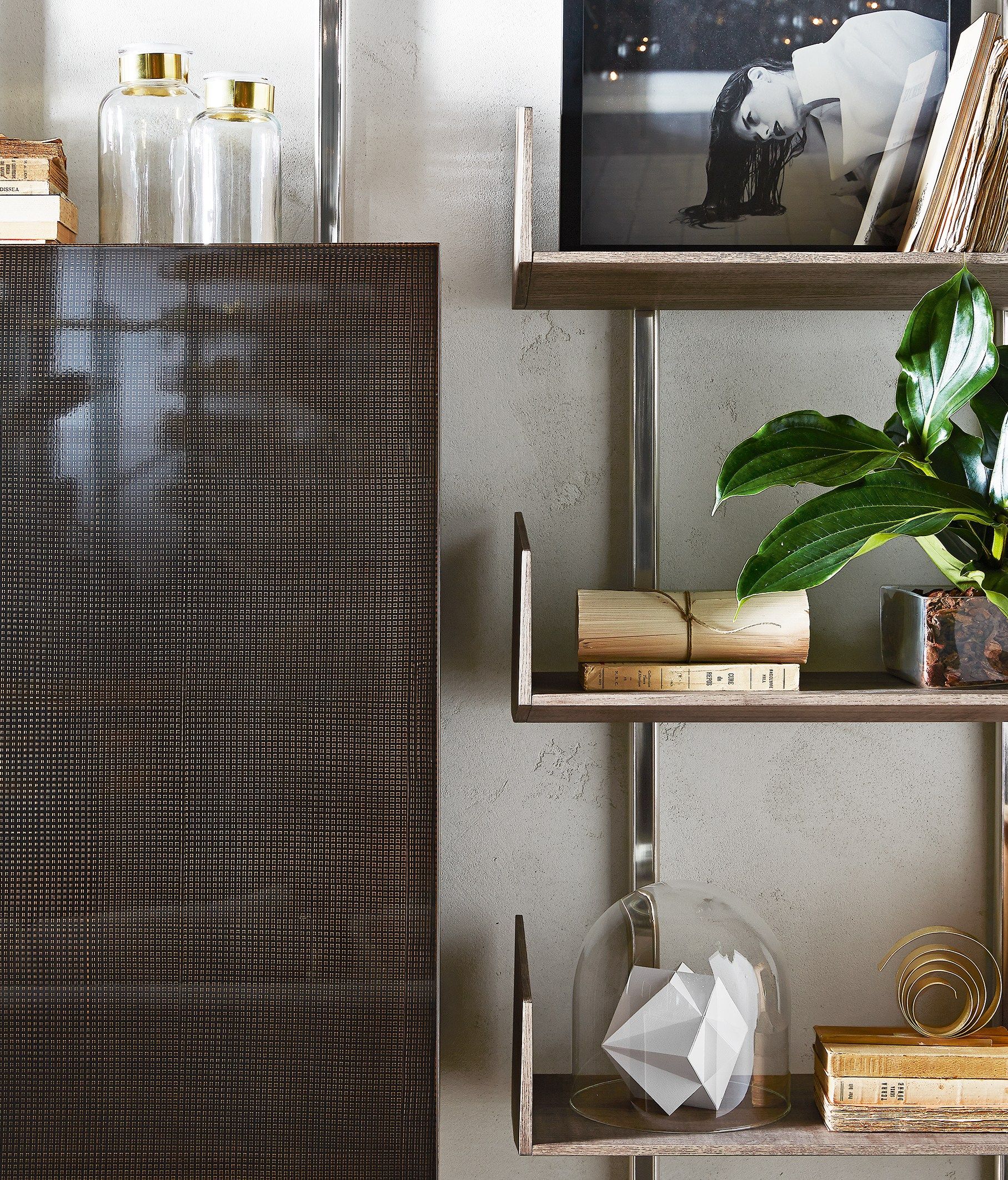 Деревянный модульный настенный книжный шкаф Gallotti&Radice Brera ARCH-00025445 - Вид №4