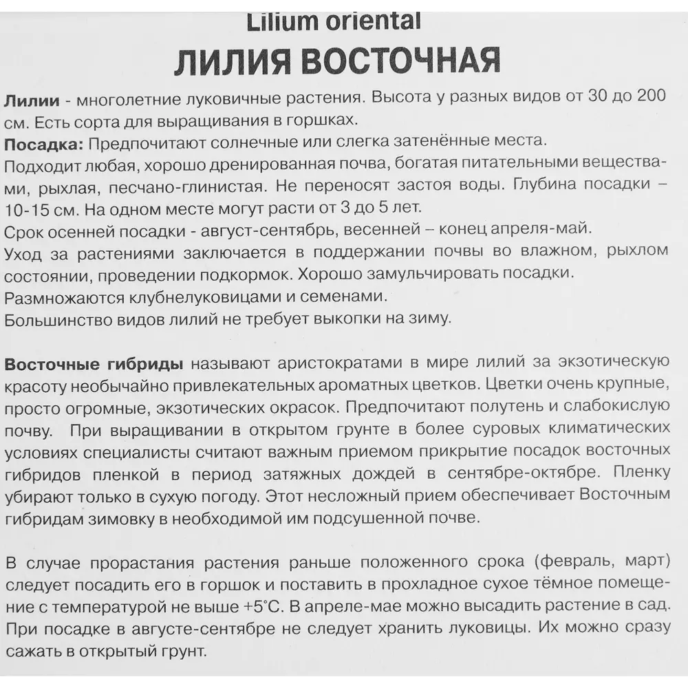 Лилия восточная Кристал Бланка 1 шт. 83588541 STLM-2114910 Santreyd  - Вид №2