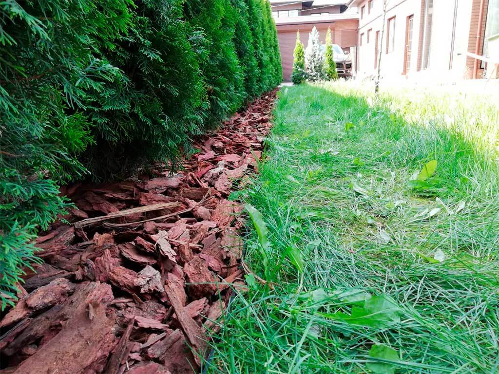 Пластиковый бордюр 58 мм, длина 1 м, зелёный ГеоПластБорд GPBST-54 - Вид №3