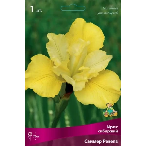 Ирис сибирский Саммер Ревелз 82530210 STLM-2005153