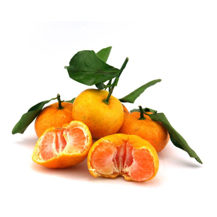 Мандарины сезонные Santreyd 8624 - Вид №2