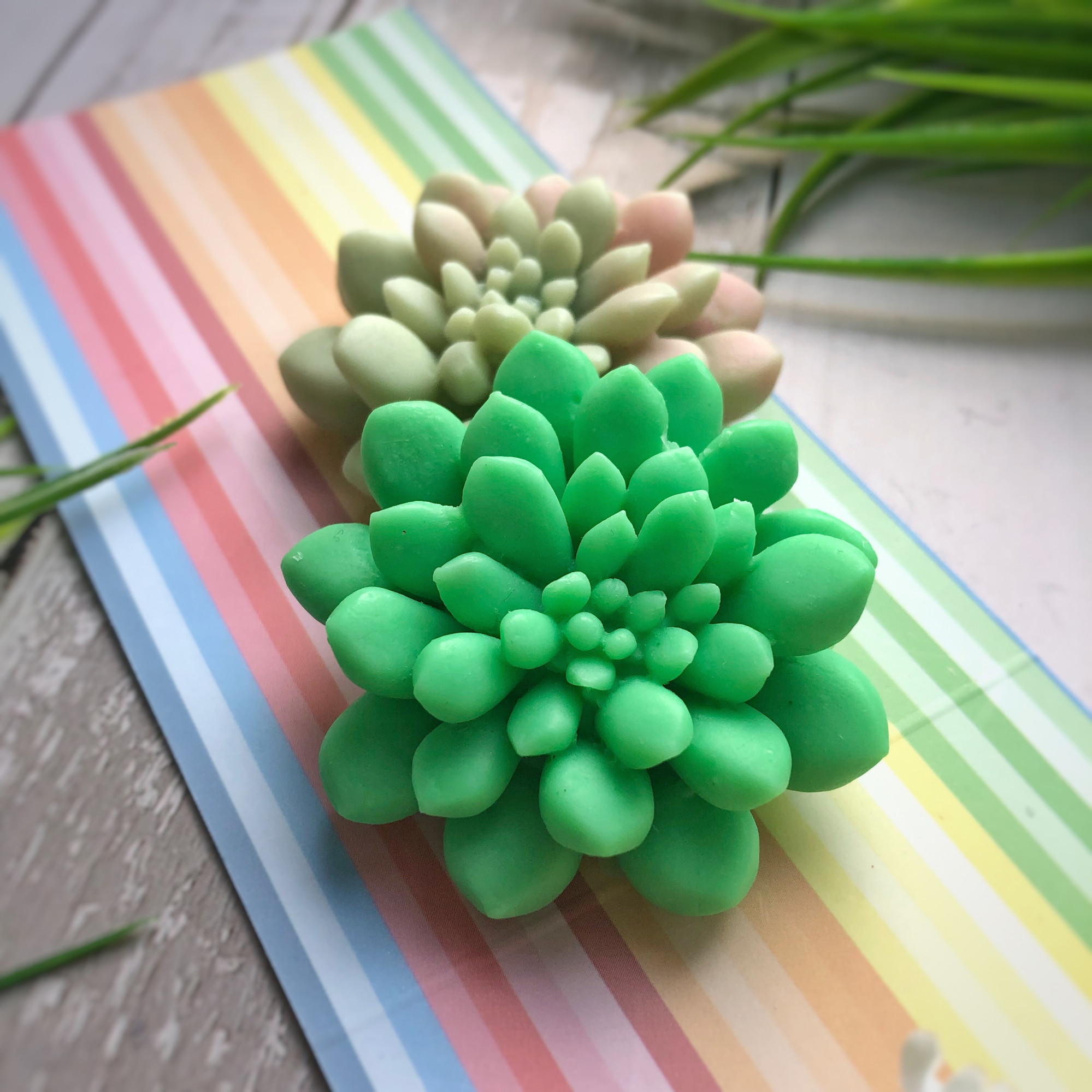 10482 Форма "Суккулент №12 S" силикон HobbyPage 