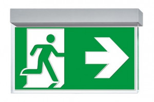 DST-2506 Virsc1608-p Daisalux Светильники сигнальные Серебристо-Серый