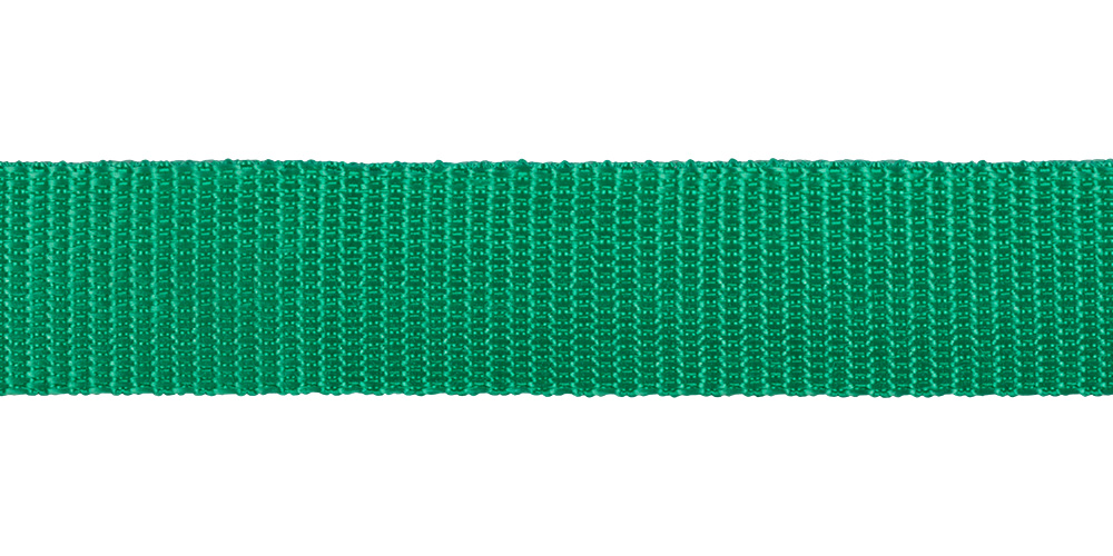 3713 (3075\_3590) Стропа 30 мм 3713 (3075_3590) ФАСОВКА 2.5 м зеленый Santreyd 