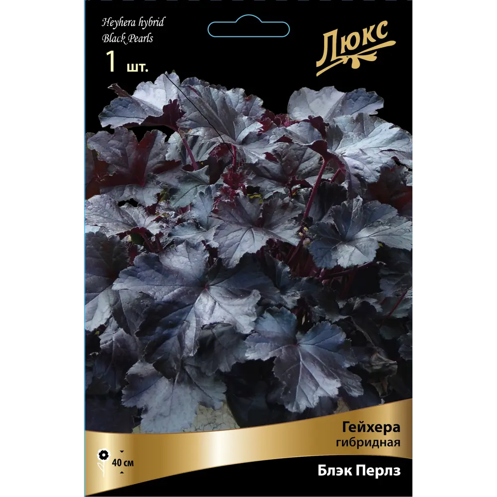 Гейхера гибридная Блэк Перлз ПОИСК STLM-2043443