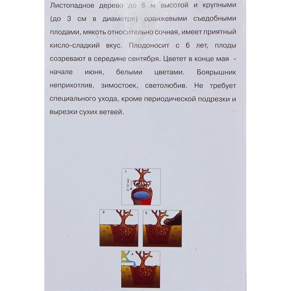 Боярышник крупноплодный «Арнольда» 81951285 STLM-2016705 Santreyd  - Вид №2