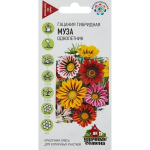 ГАВРИШ Гацания Муза - яркие ромашки для сада и балкона 81933412