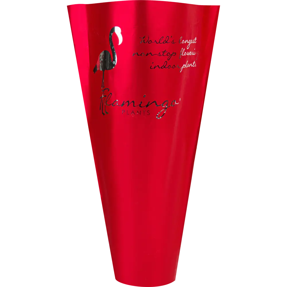 Santreyd Антуриум Андреанум - тропическая элегантность в вашем интерьере 85324993 STLM-0061546 - Вид №3