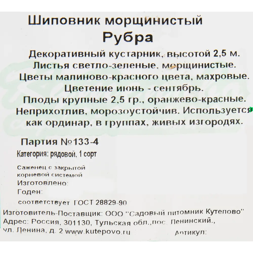 Шиповник морщинистый «Рубра» 15x40 см 82595269 STLM-2029073 Santreyd  - Вид №1