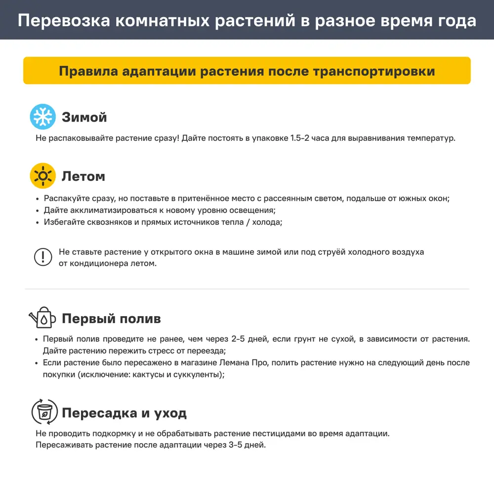 Бромелия микс 12x45 см 82383356 STLM-2143691 Santreyd  - Вид №5