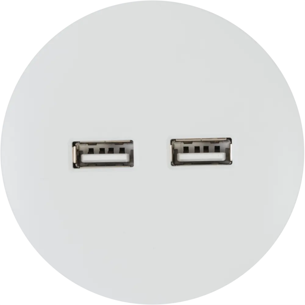 Розетка для трека 2 USB 2.1 цвет белый SKYBEAM STLM-2007832