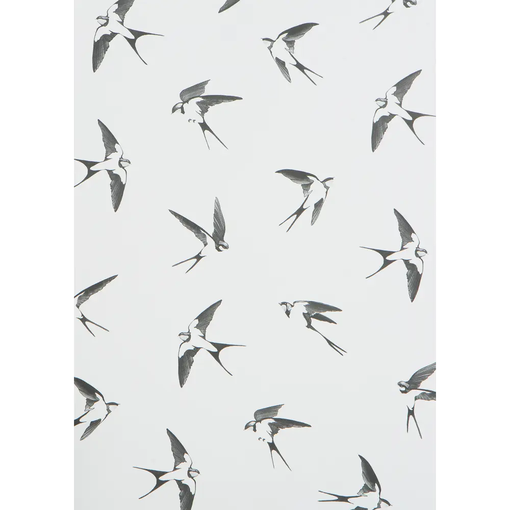 Постер «Ласточки» 21x29.7 см Santreyd STLM-2133084