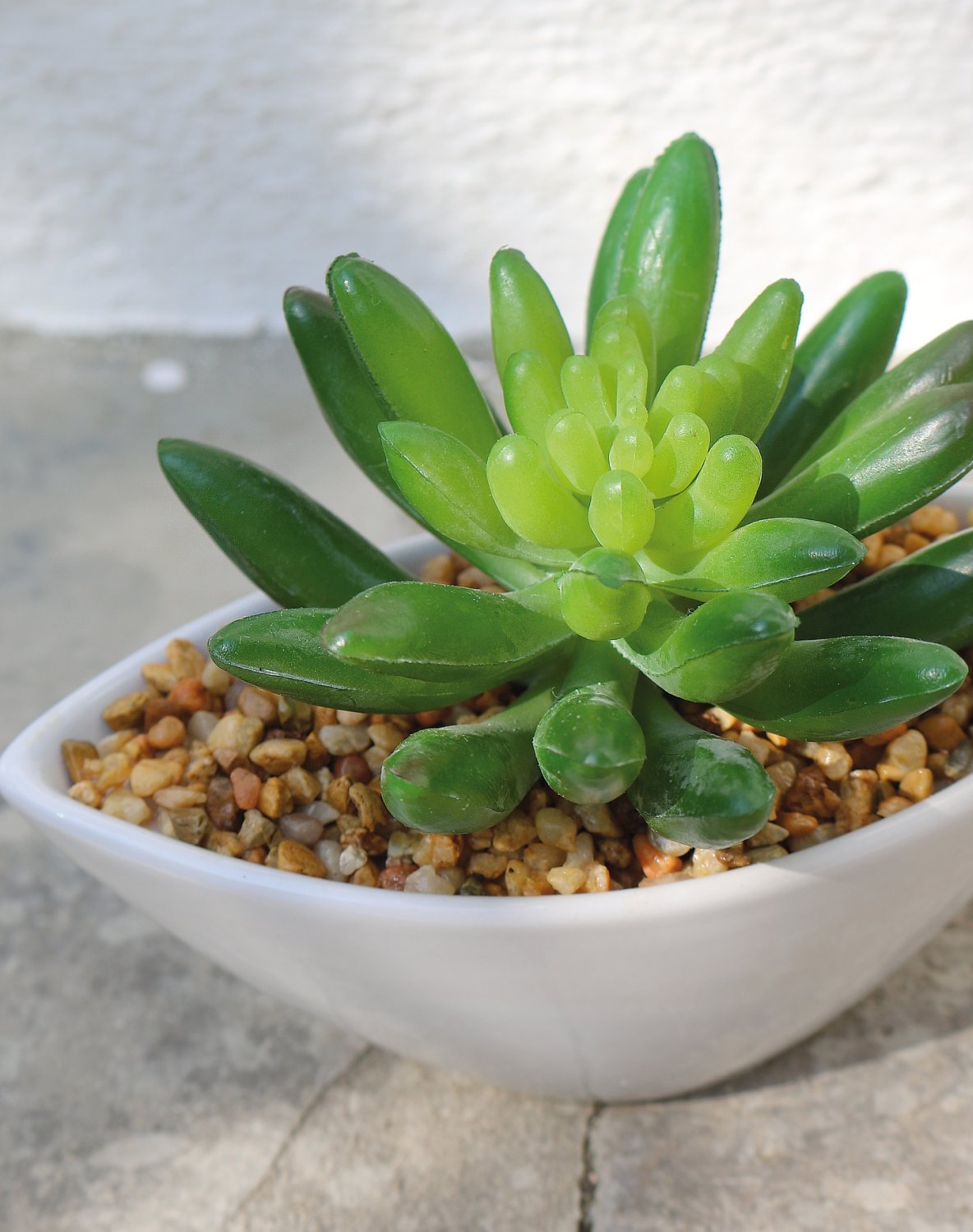 6334 883 a3 Очиток искусственный в керамическом горшке, 9см, зеленый H-andreas  - Вид №3