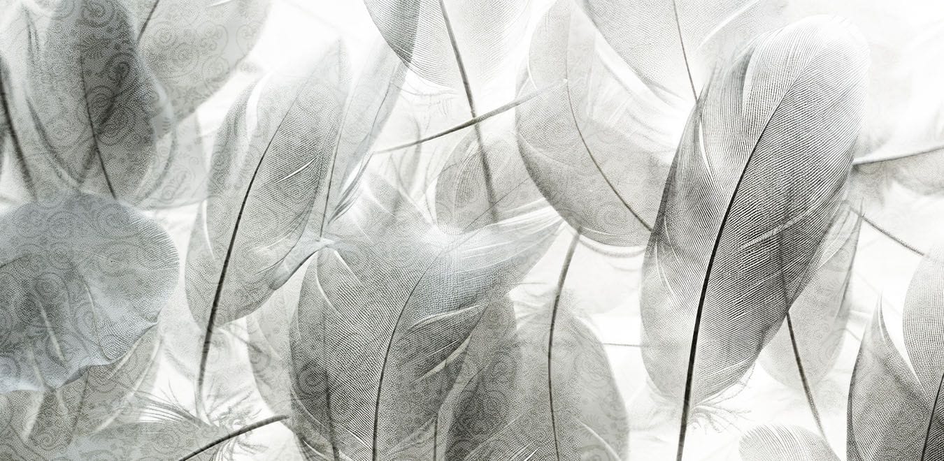 Обои с цветочными мотивами Creativespace Prêt-à-porter ARCH-00036329 - Вид №1