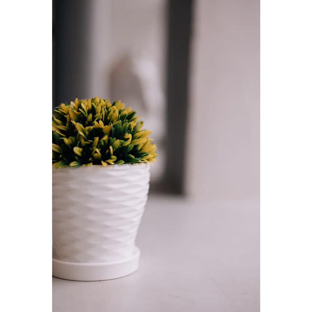 Santreyd Эллипс — керамический горшок для декоративных растений 89338011 Fdtc6 STLM-0951720 - Вид №5