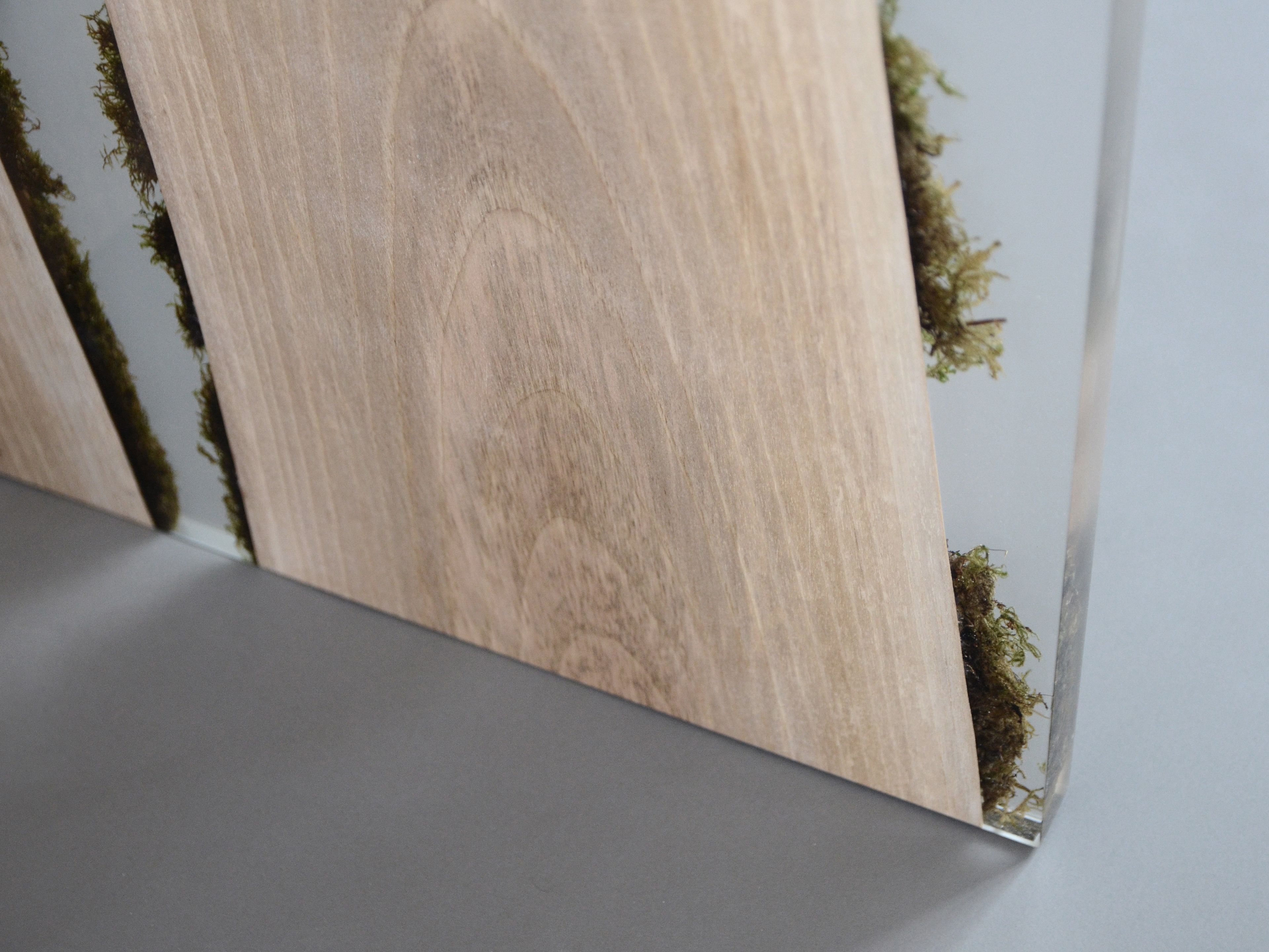 Ширма alcarol Подлесок ARCH-00061418 - Вид №4