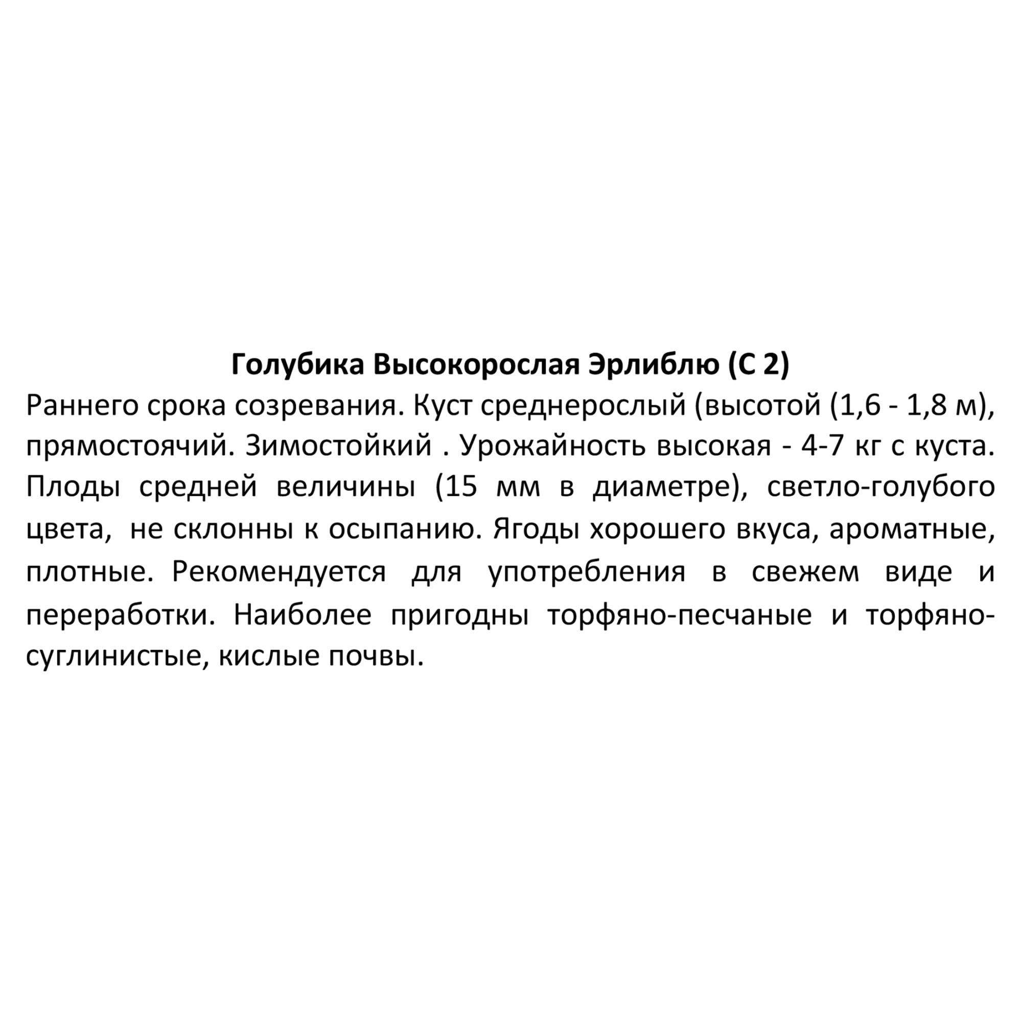 82585404 Голубика высокорослая «Эрлиблю» 17x30 см Santreyd  - Вид №1