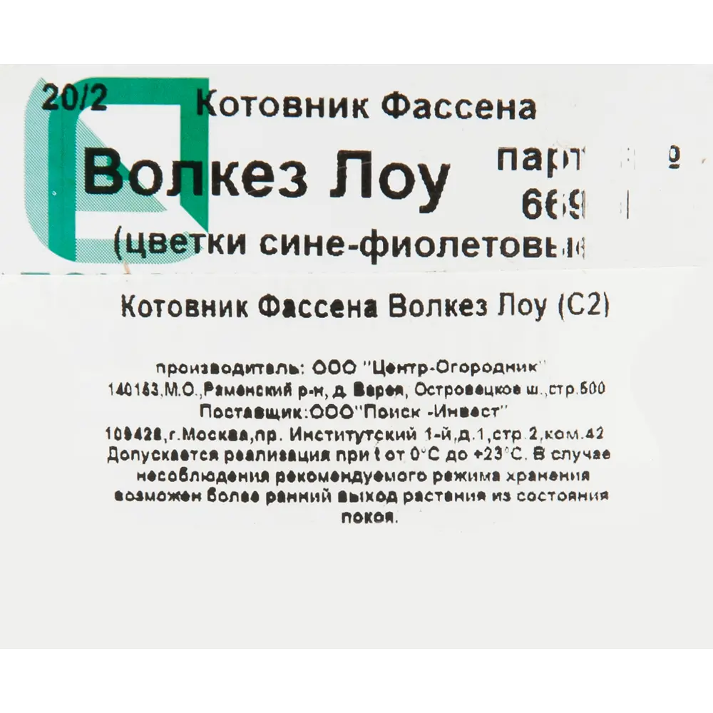 Котовник Фассена Волкез Лоу от Santreyd - фиолетово-синее цветущее чудо для сада 82219554 STLM-0952659 - Вид №1