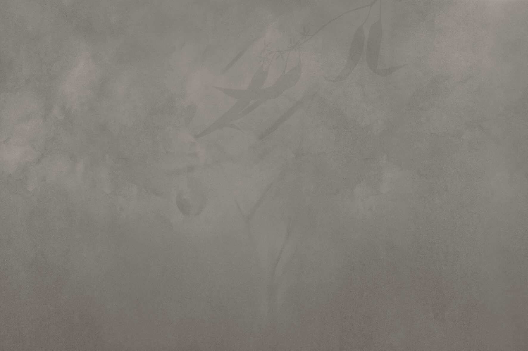 Обои с рисунком GLAMORA Творческая коллекция, глава XIV ARCH-00019724 - Вид №3