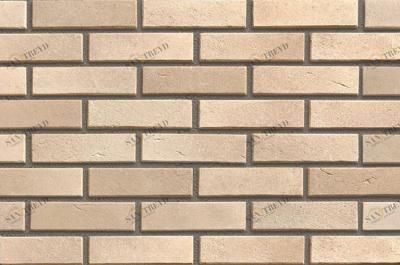 Рига 101 Камелот sun-id-331290