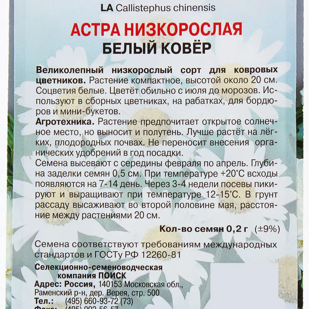 Астра низкорослая Белый ковер 17229451 STLM-2017175 ПОИСК  - Вид №2