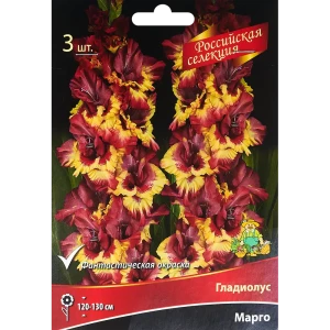 Гладиолус Марго, 3 шт 86410013 STLM-2163057