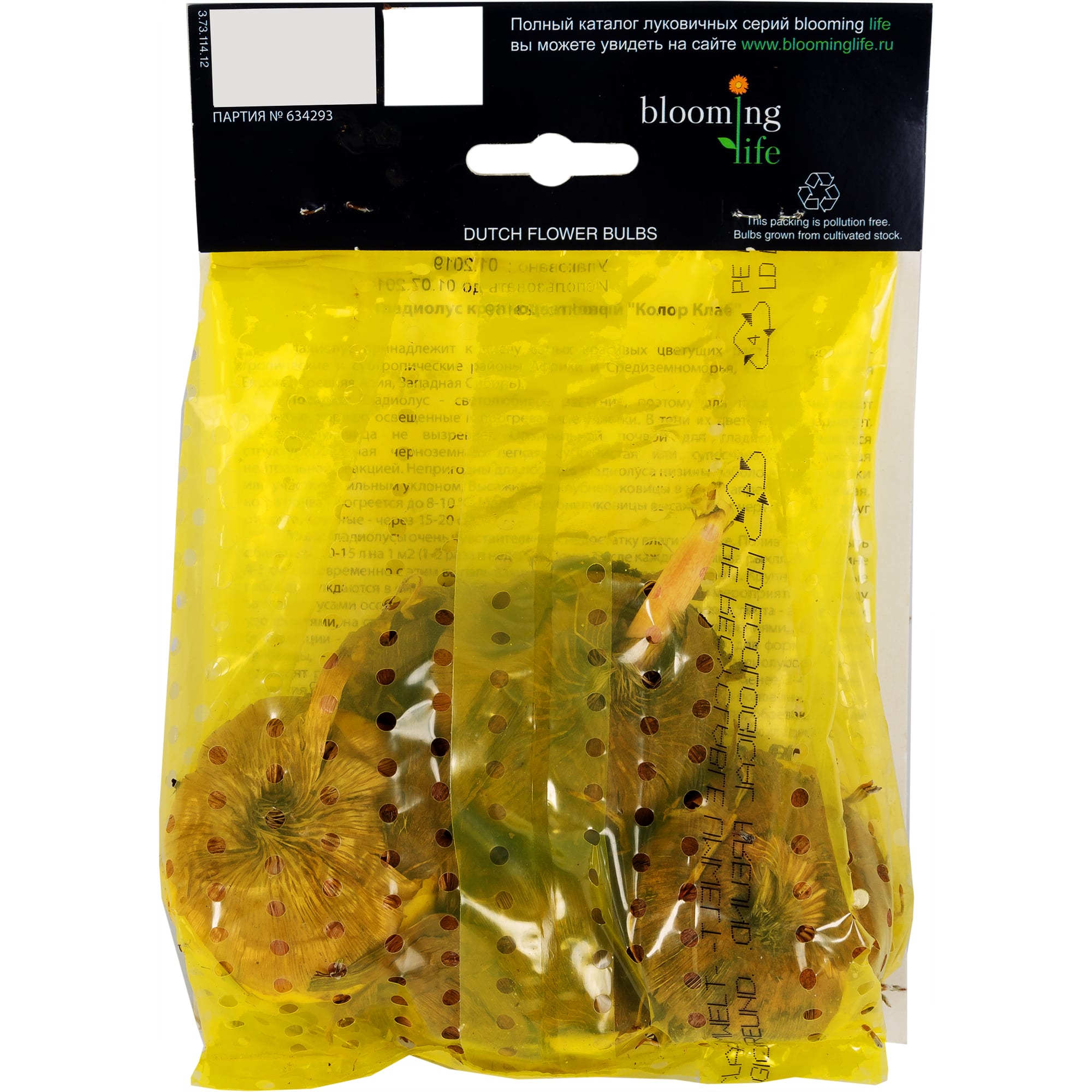 81945906 Гладиолус крупноцветковый «Колор Клаб» Santreyd  - Вид №1