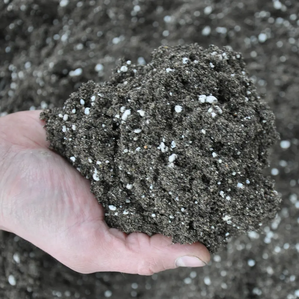 Грунт BEGINIA для замиокулькаса и суккулентов 5 л Для кактусов и суккулентов STLM-2177193 - Вид №2