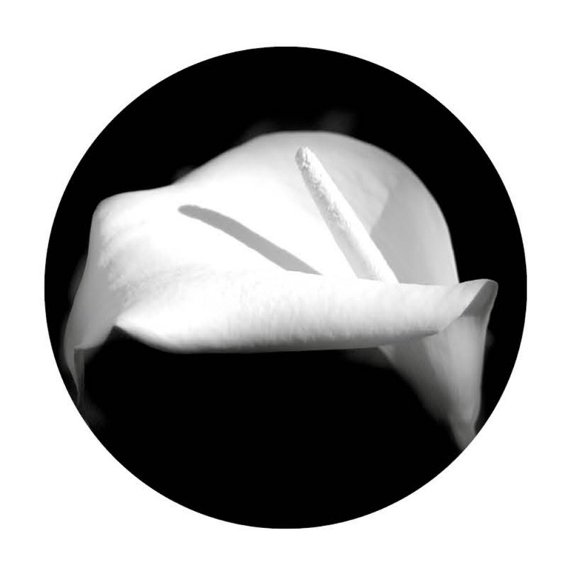 F156X160 Картина Джотто Adriani e Rossi  - Вид №10