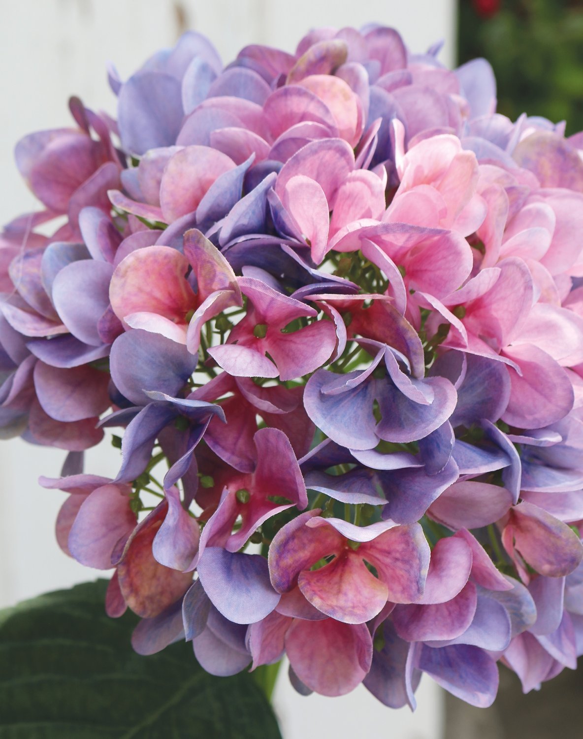 2270 222 a3 Искусственная гортензия, 65 см, темно-фиолетовый H-andreas  - Вид №1