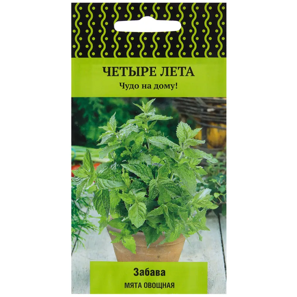 Мята овощная Забава от ПОИСК - ароматный многолетник для дома и сада 17229653 STLM-0007716