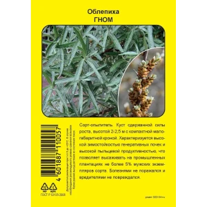 Облепиха Гном пакет h40 см 86543957 STLM-2066805