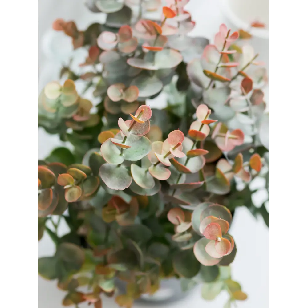 89356250 Искусственное растение в горшке эвкалипт h30 см цвет коричневый STLM-0961796 Santreyd  - Вид №7