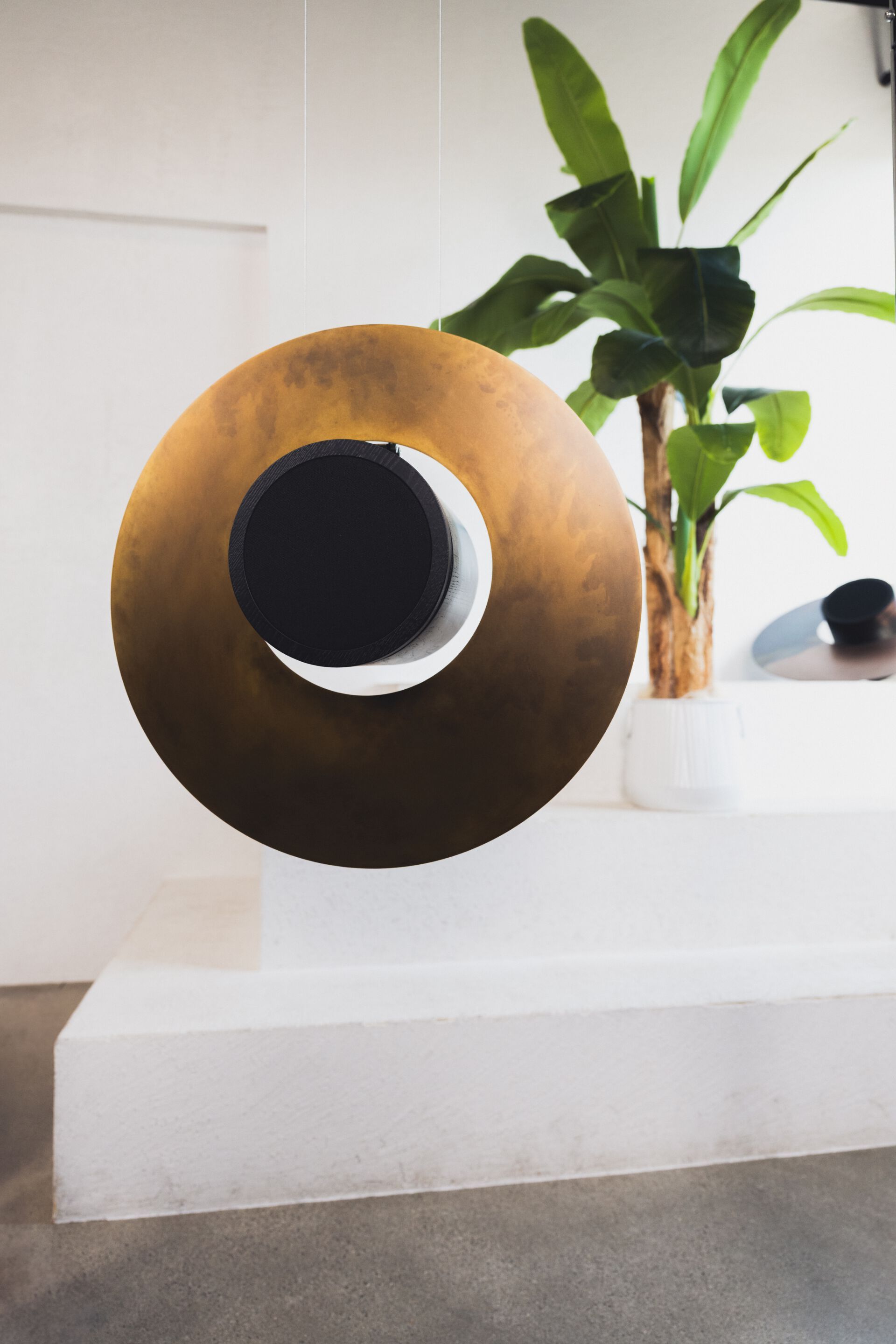 Травление железа акустический диффузор ArmoniusLab SATURNIA FLYING ARCH-00066166 - Вид №3