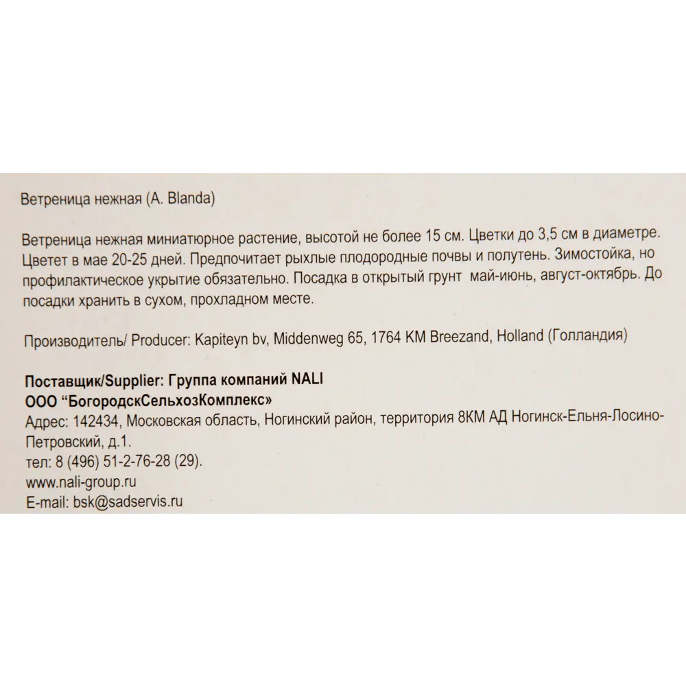 Анемона «Blue Shades» размер луковицы 5/6, 5 шт Santreyd STLM-2087915 - Вид №2