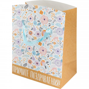 82179552 Пакет-коробка 79682, 22.5х13.5х20 см