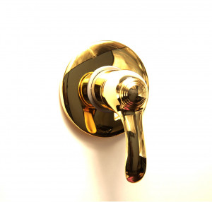 AU880101010 Смеситель для душа Webert Aurora