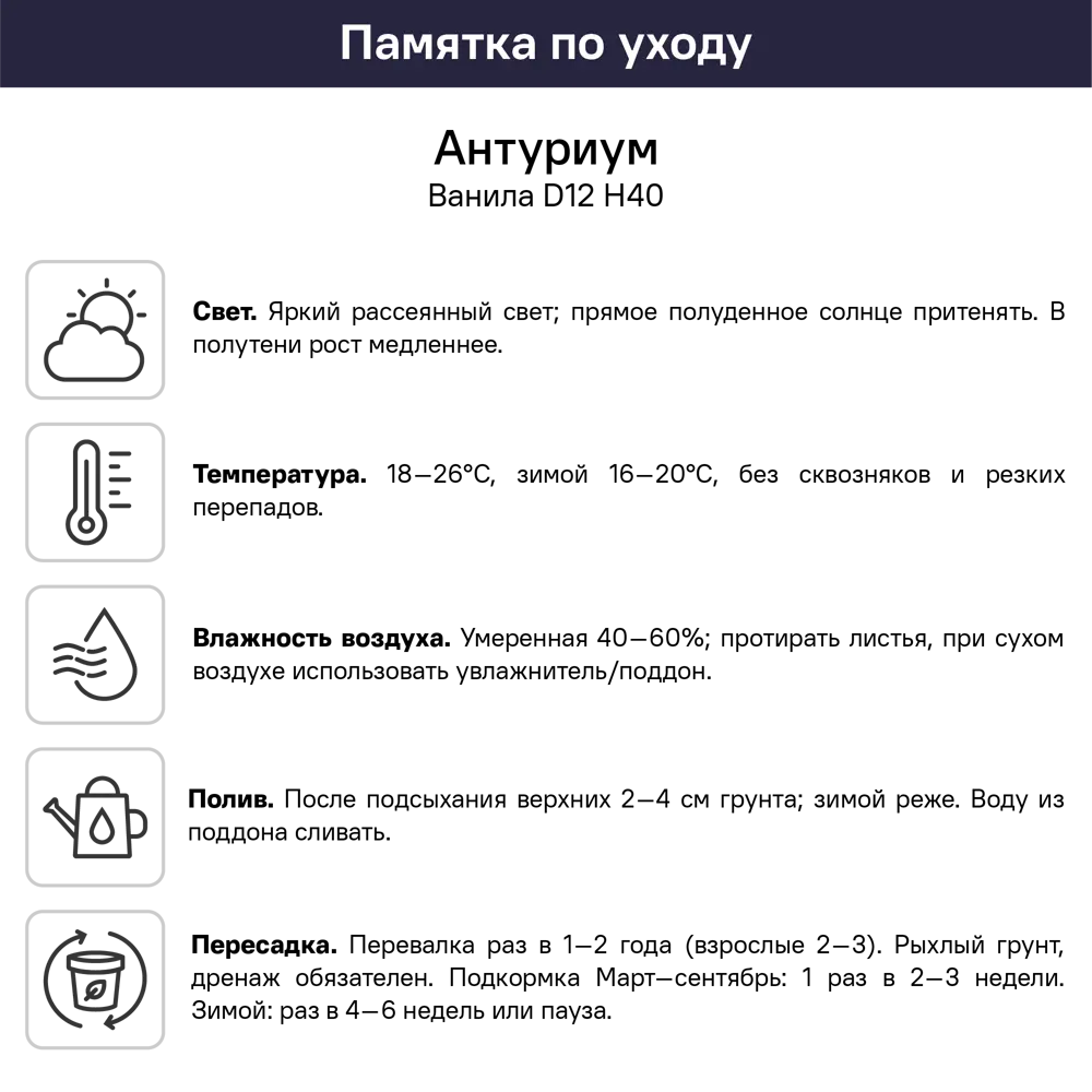 Антуриум Ванилла ø12 h40 см 89409560 STLM-2052717 Santreyd  - Вид №4