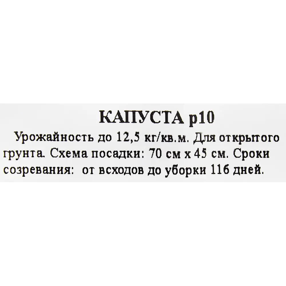 Рассада Капуста ø9 h15 см Santreyd STLM-2048917 - Вид №1