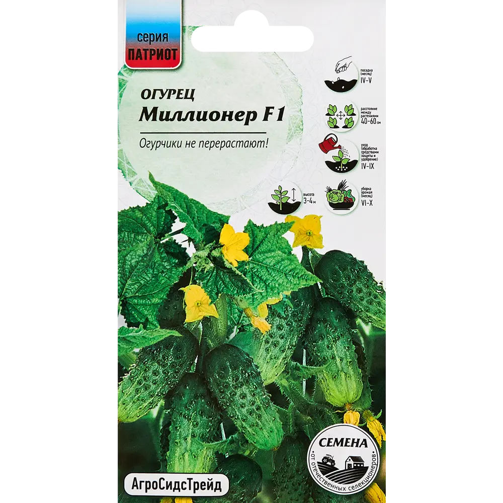 Santreyd: Семена огурца Миллионер F1 для богатого урожая 89347936 STLM-1355580