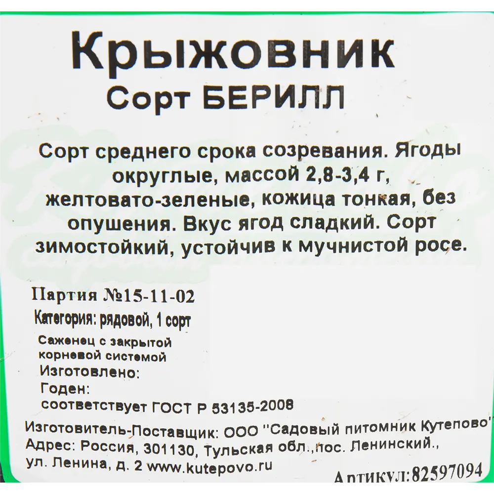 Крыжовник «Берилл» C2 высота 40 см 82597094 STLM-2030760 Santreyd  - Вид №1