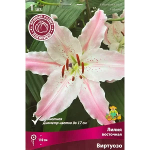 Лилия восточная Виртуозо 1 шт. 83588540 STLM-2006026