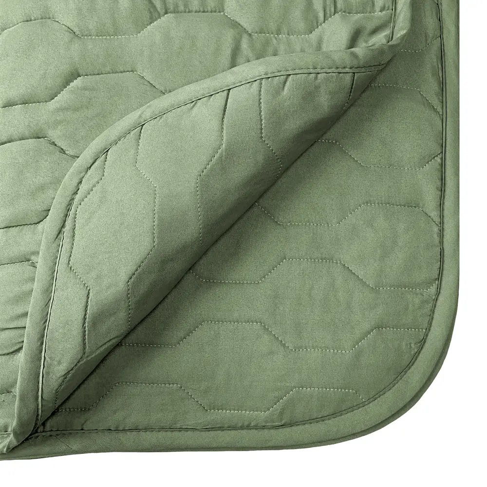 Покрывало 200x240 см микрофибра цвет оливковый Santreyd STLM-2028076 - Вид №2