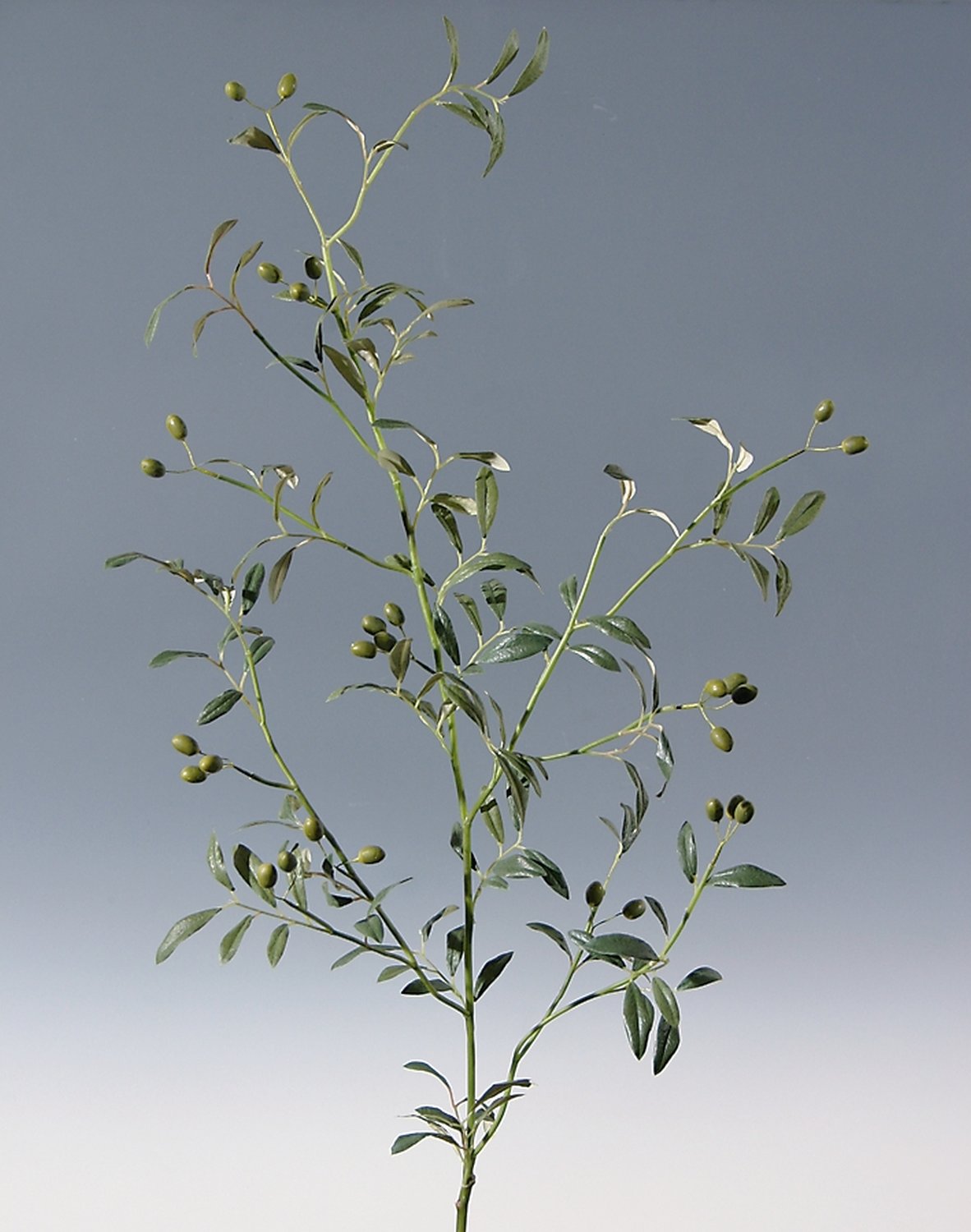 4502 883 a3 Искусственная оливковая ветвь, 140 см, зеленая H-andreas  - Вид №2