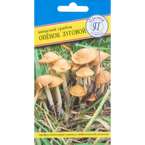 Мицелий Опенок луговой 12 пал.
