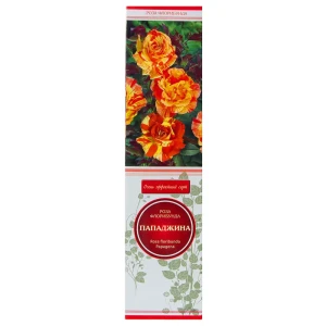 Роза флорибунда Пападжина в тубе Поиск Инвест 18348515 STLM-2010298
