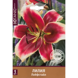 Лилия Лайфстайл 12/14, 1 шт 82539360 STLM-2024165