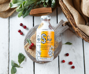 5848 Сок березовый с клюквой, прополисом и имбирем Вкусляндия