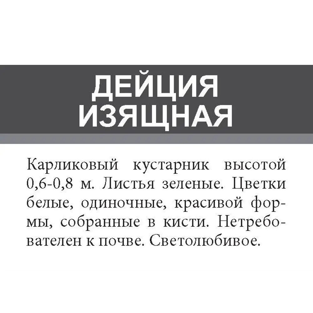 Дейция изящная ø15 h35 см 85670440 STLM-2010812 Santreyd  - Вид №1