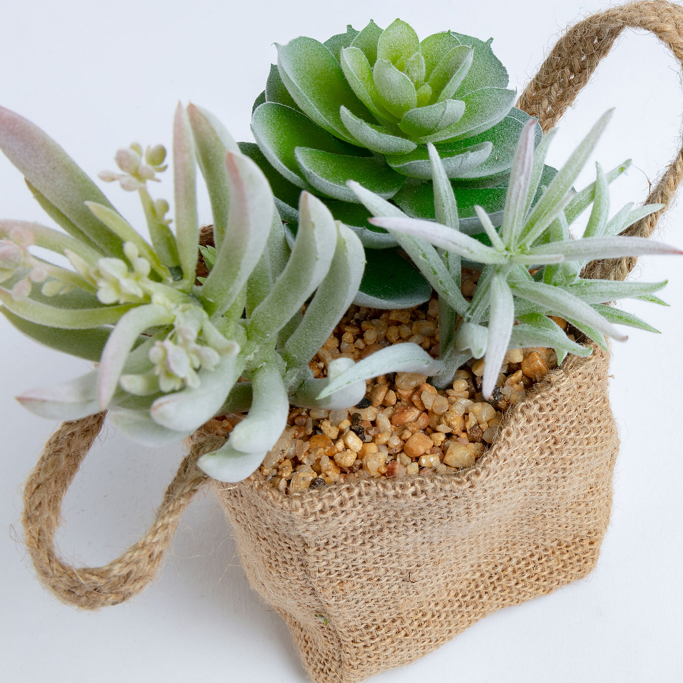 068868 Flower 3 искусственных суккулента в льняной сумке La Forma Suculenta  - Вид №2